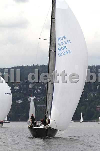 Bundefjorden2012 072.jpg